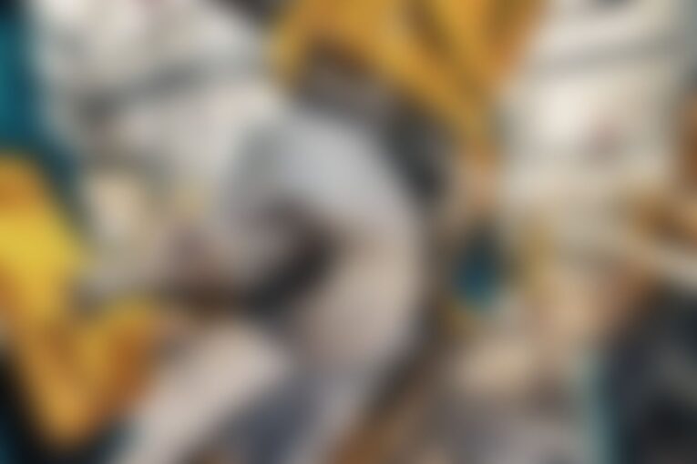 Shank hamburger andouille short ribs